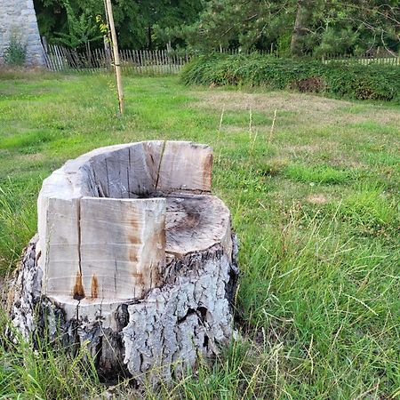 A La Salle De Jeux Et Son Jardin Autour De La Cabane Verte Dinant Dış mekan fotoğraf